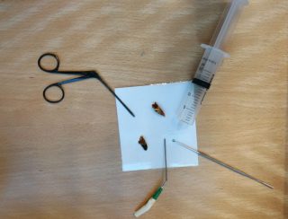 Sharon Williams ENT Sepcialist