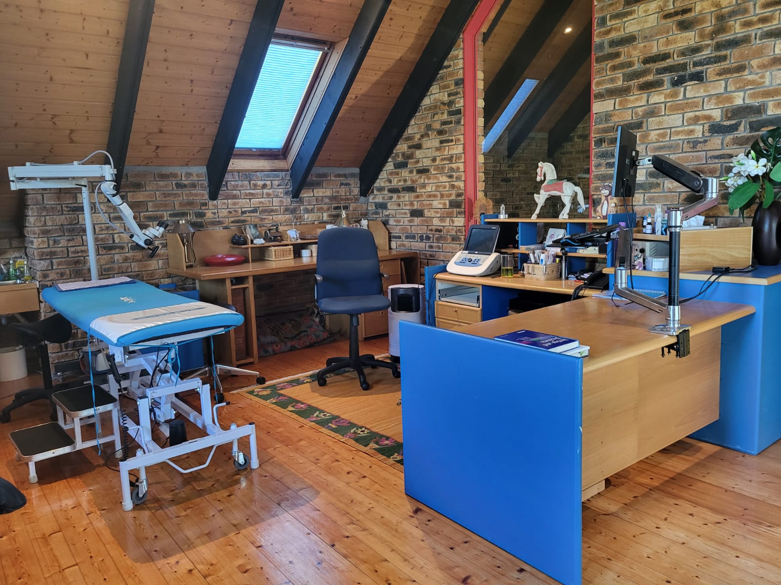 Dr Sharon Williams Cape Town ENT practice rooms