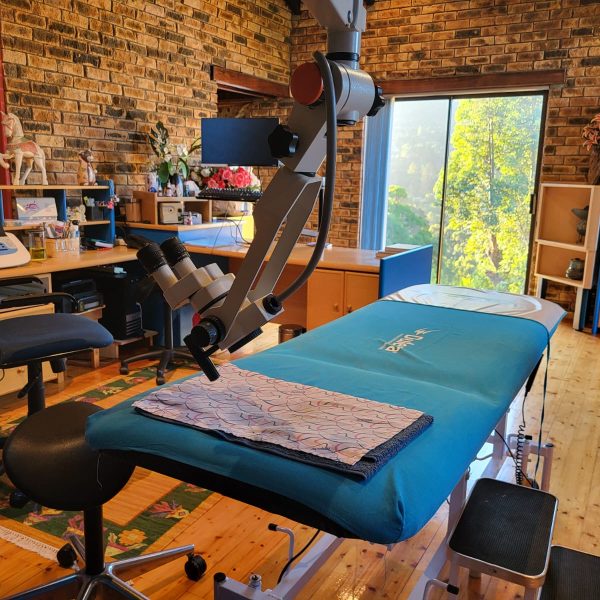 ENT Consulting Rooms, Hout Bay